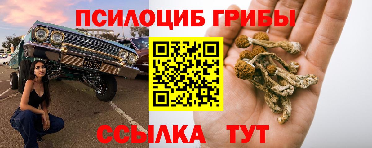 Галлюциногенные грибы GOLDEN TEACHER Сибай