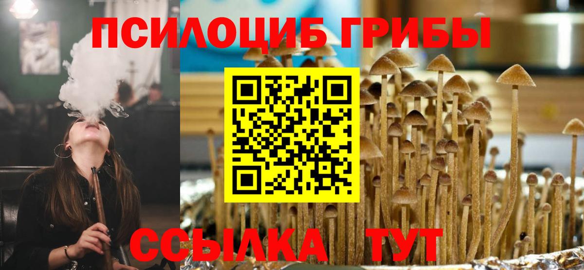 Сибай  Псилоцибиновые грибы Magic Shrooms  Вход с VPN 